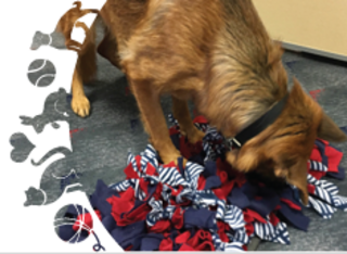 SPCA Snuffle Mat