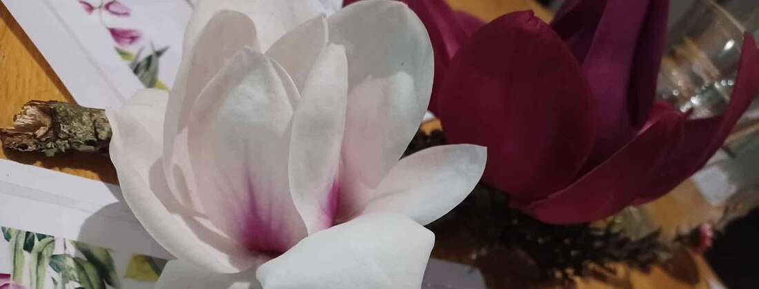 For Home and Community